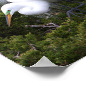 Poster photo Egret (Coin)