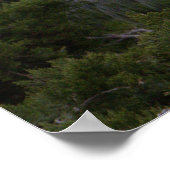 Poster photo Egret (Coin)