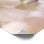 Poster Photo en fleurs de pomme blanche (Coin)