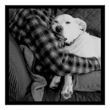 Photo en noir et blanc de chien en train de frappe