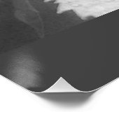 Poster Photo en noir et blanc de Feuilles de raisins moui (Coin)