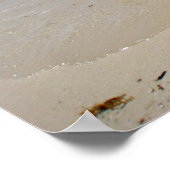 Poster Photo encadrée Bahamas (Coin)