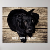 Photo et nom du chien du Black Lab personnalisé