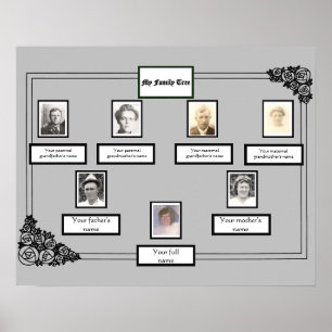 Poster Photo Family Tree Rose Dessin de la bordure en gri