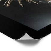 Poster Photo Fireworks (Coin)