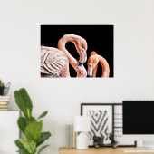 Poster Photo Flamant rose Rose Faune (Bureau à domicile)