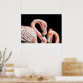 Poster Photo Flamant rose Rose Faune (Cuisine)