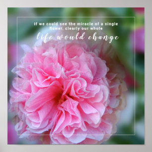 Poster Photo Fleur Rose Hollyhock Avec Citation