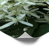 Poster photo Fleur sauvage blanc (Coin)