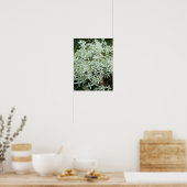 Poster photo Fleur sauvage blanc (Cuisine)