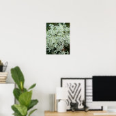 Poster photo Fleur sauvage blanc (Bureau à domicile)