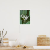 Poster photo Fleur sauvage blanc (Cuisine)