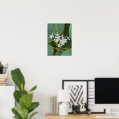 Poster photo Fleur sauvage blanc (Bureau à domicile)