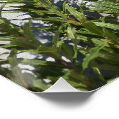 Poster Photo Fleur sauvage et Rainier (Coin)