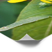 Poster photo Fleurs Jaunes (Coin)