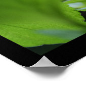 Poster photo floral violet secret (Coin)