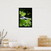 Poster photo floral violet secret (Cuisine)