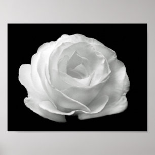 Poster photo florale noire et blanche