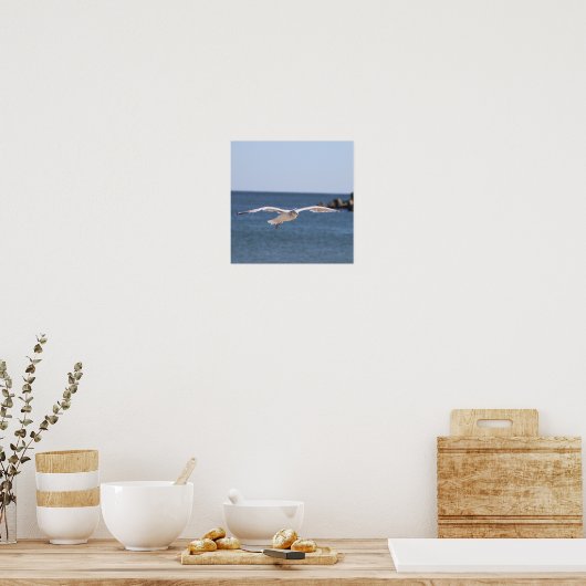 Poster photo Flying Seagull (Cuisine)
