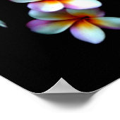 Poster photo frangipani (Coin)