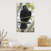 Poster photo Funny Raven Wildlife (Cuisine)