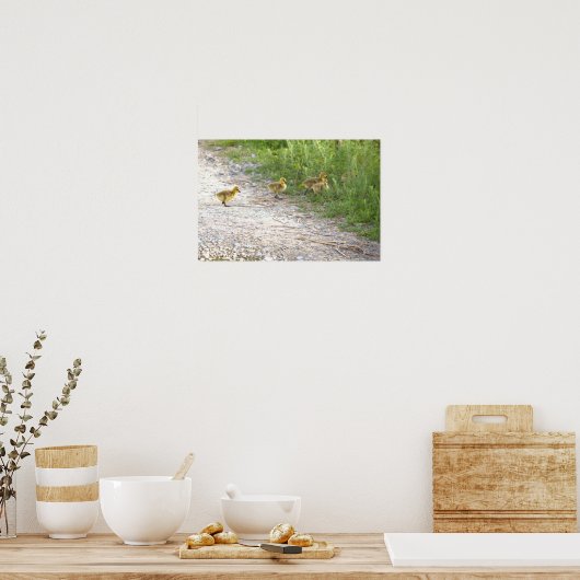 Poster photo Goslings (Cuisine)