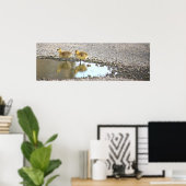 Poster photo Goslings (Bureau à domicile)