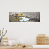 Poster photo Goslings (Cuisine)