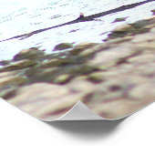 Poster photo Goslings (Coin)