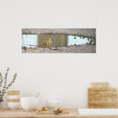 Poster photo Goslings (Cuisine)