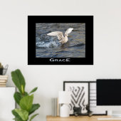 Poster photo GRACE Sea-Gull Landing (Bureau à domicile)
