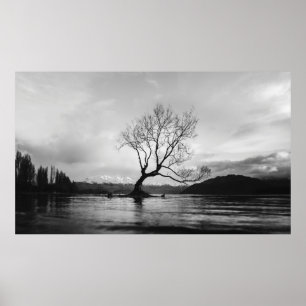 POSTER PHOTO GRAYSCALE DE L'ARBRE NUIT SUR LE CORPS CALME