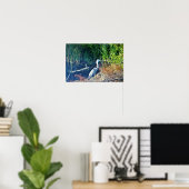 Poster Photo Great Blue Heron (Bureau à domicile)