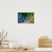 Poster Photo Great Blue Heron (Cuisine)