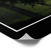 Poster photo Green Misty Forest (Coin)