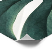 Poster photo Green Monstera (Coin)
