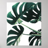 Poster photo Green Monstera (Devant)