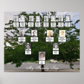 Poster photo Green Summer Family Tree (Devant)