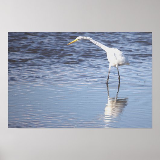 Poster photo Heron (Devant)