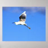 Poster Photo Heron Flying (Devant)