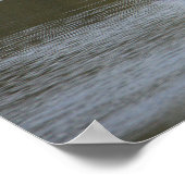 Poster photo Heron Spreading Wings (Coin)