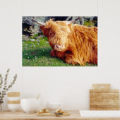 Poster Photo Highland Cow (Cuisine)