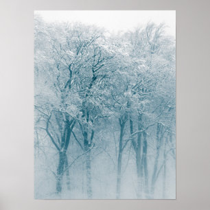 Poster Photo hivernale des arbres couverts de neige