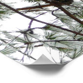 Poster Photo hivernale sous le pin couvert de neige (Coin)