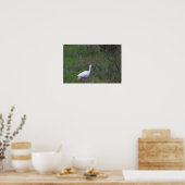 Poster photo Ibis Bird (Cuisine)