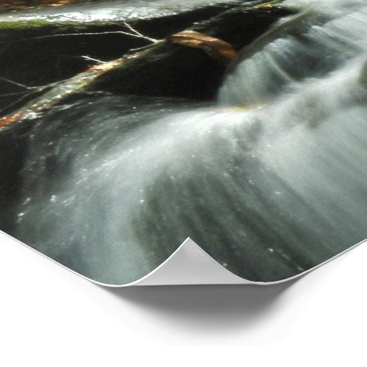 Poster photo Idyllic Waterfall (Coin)