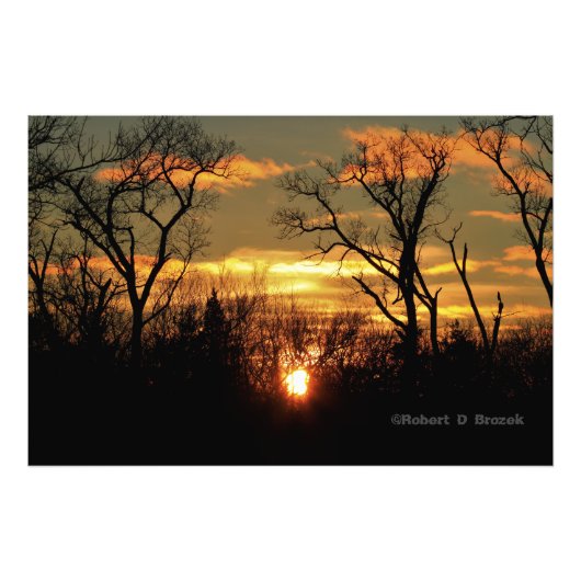 Poster photo Kansas Tree Silhouettes Sunset. (Devant)