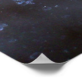 Poster photo Luna Moth (Coin)