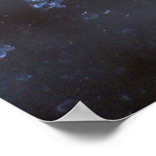 Poster photo Luna Moth (Coin)