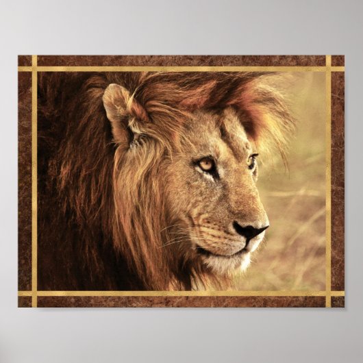Poster Photo majestueuse de lion de côté (Devant)